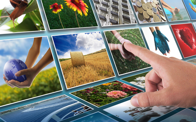 digital content developer